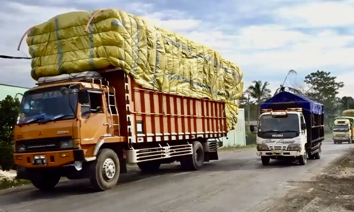 Jangan Cuma Mau Cuan, Pebisnis Mesti Tahu Bahaya Truk ODOL